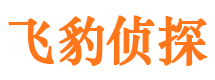 新余市侦探调查公司